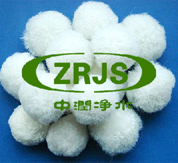 �����w�S��